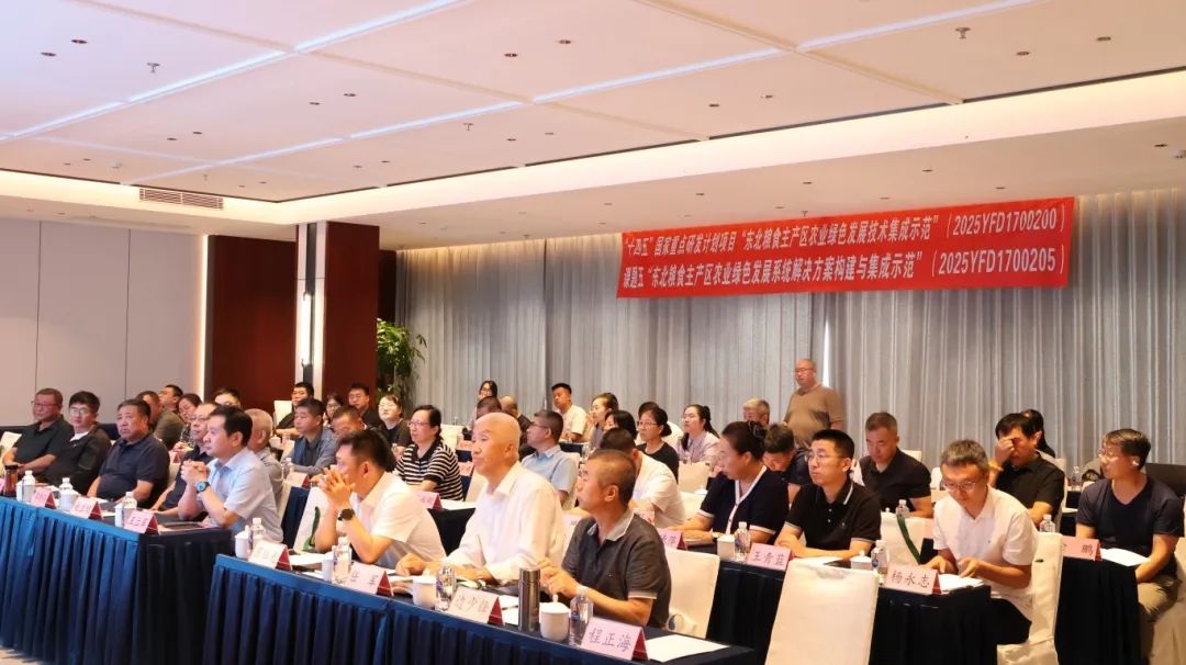 1756877975643928.jpg 1.jpg