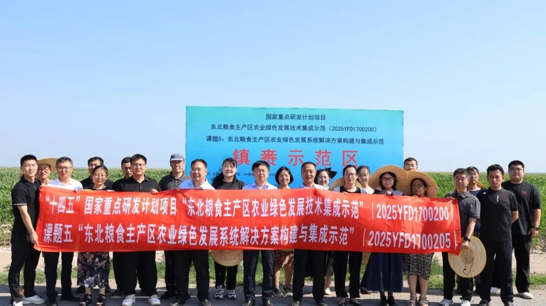 1756878566129811.jpg 6.jpg