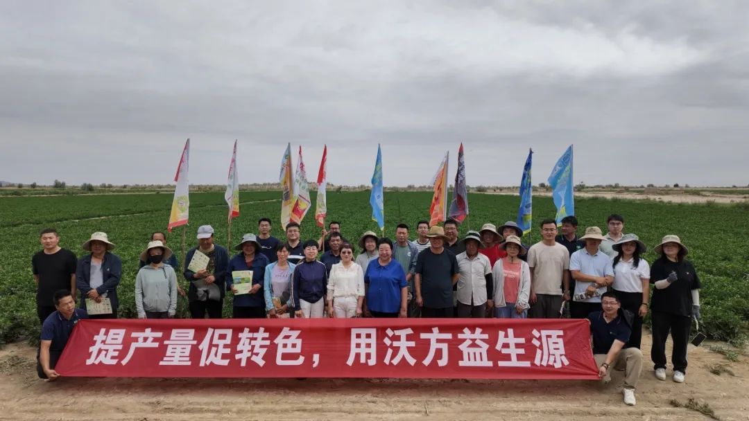 1756880979977637.jpg 1.jpg