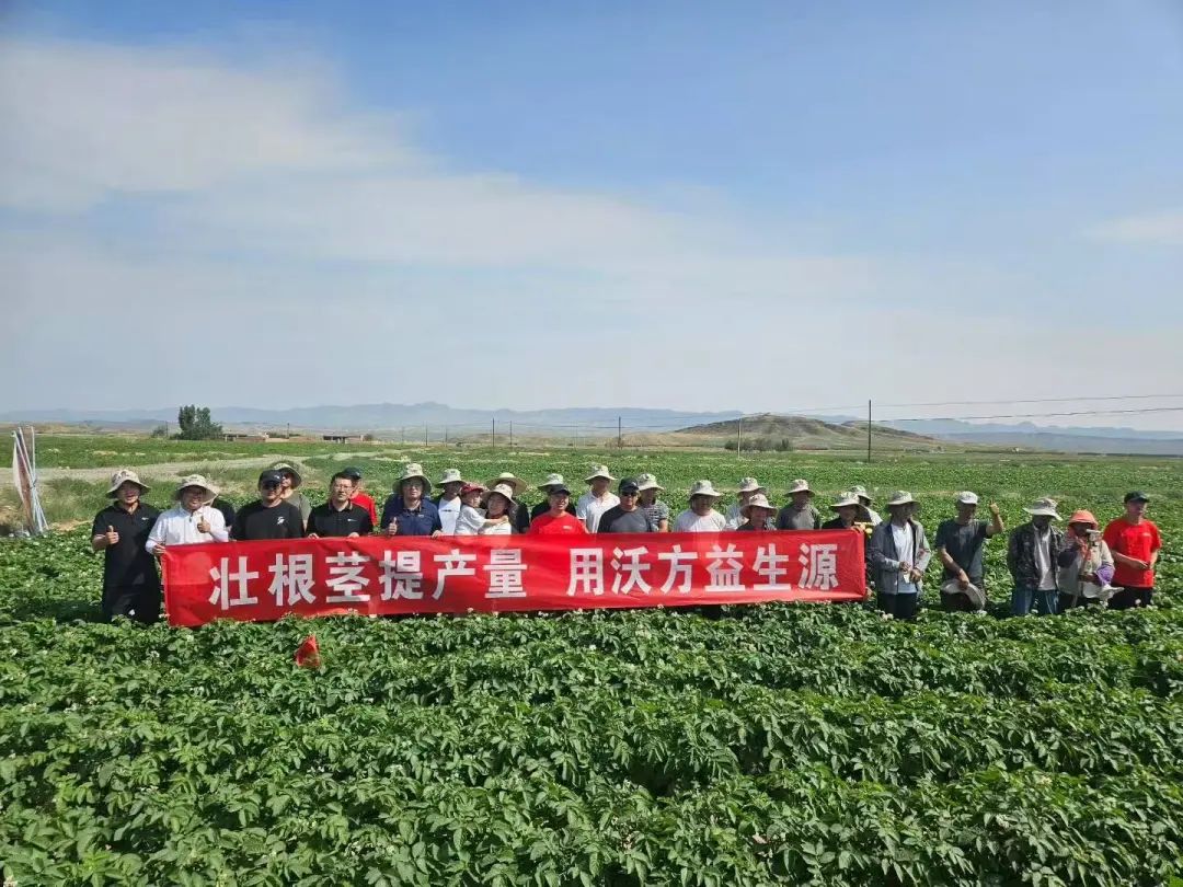 1756880994120012.jpg 2.jpg