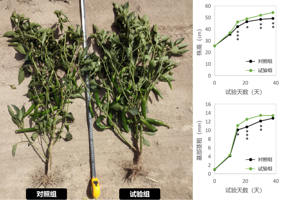 1756881038672196.png 3.png