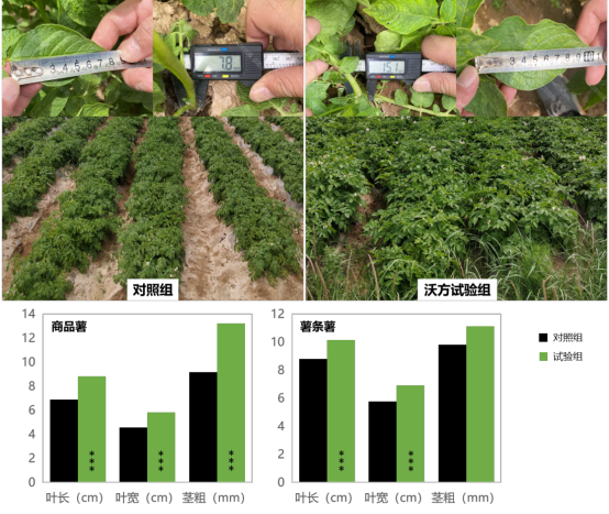 1756881070269481.png 4.png