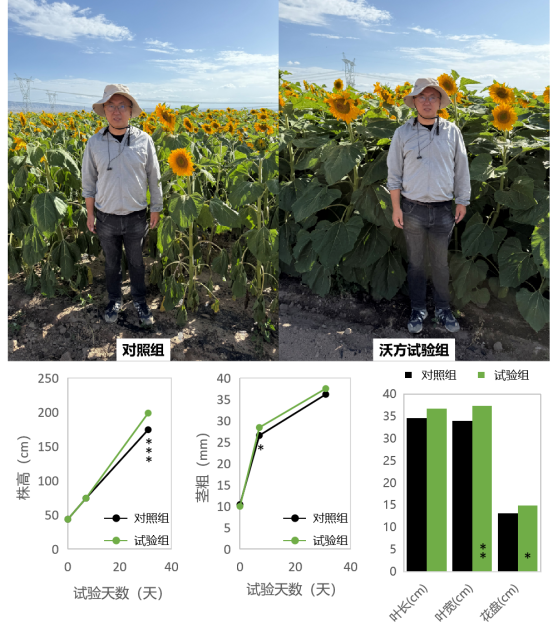 1756881119697500.png 5.png