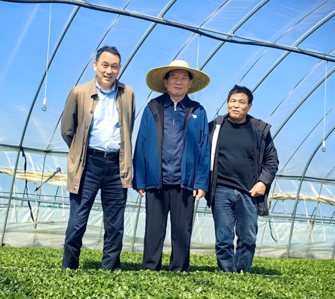 1756948883955473.jpg 3.jpg